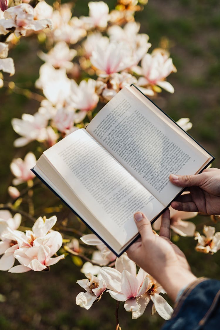 Opened Book In Hands Of Person Against Floral Background On Sunny Day