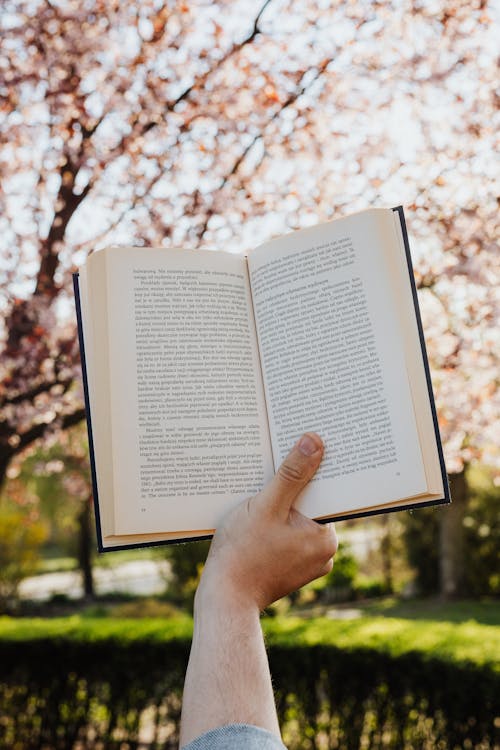 Free Person Holding Opened Book Stock Photo