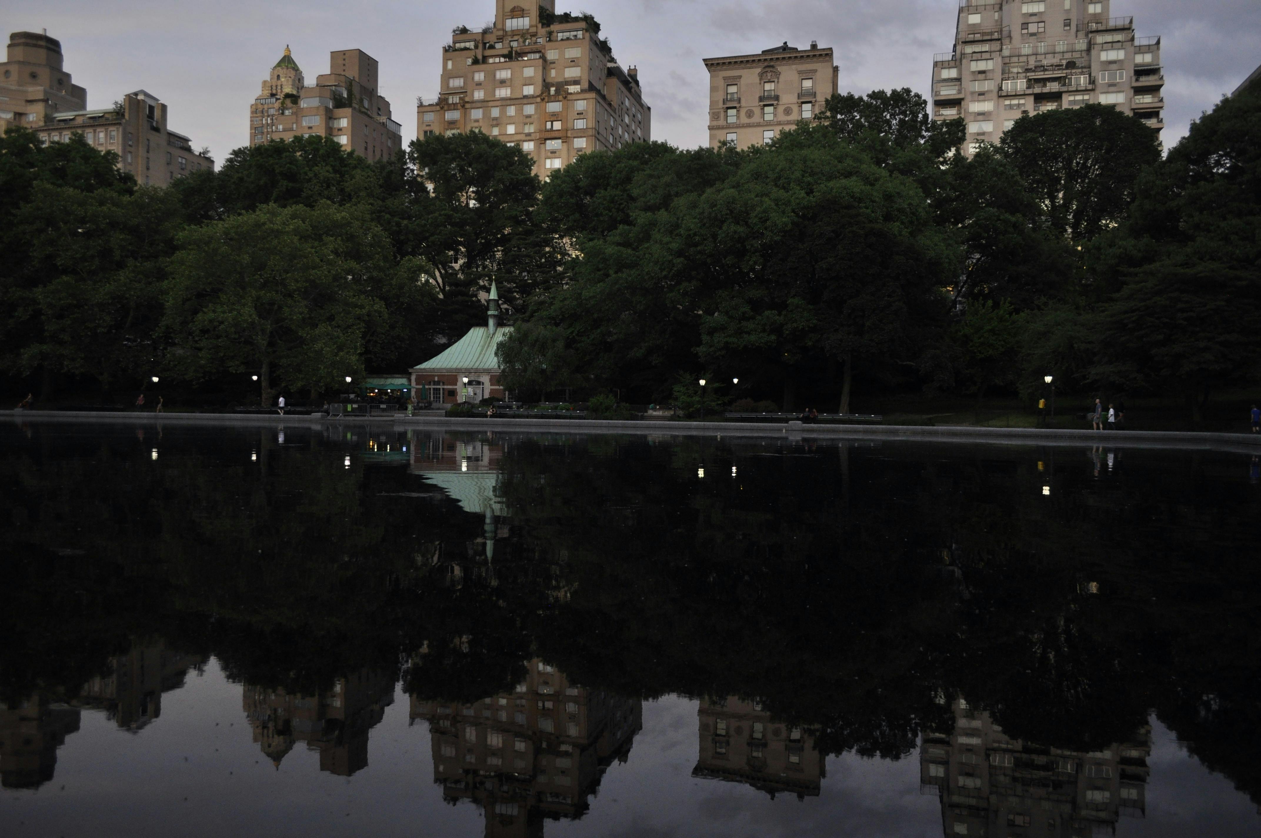 Free stock photo of central park, city sunset, new york city