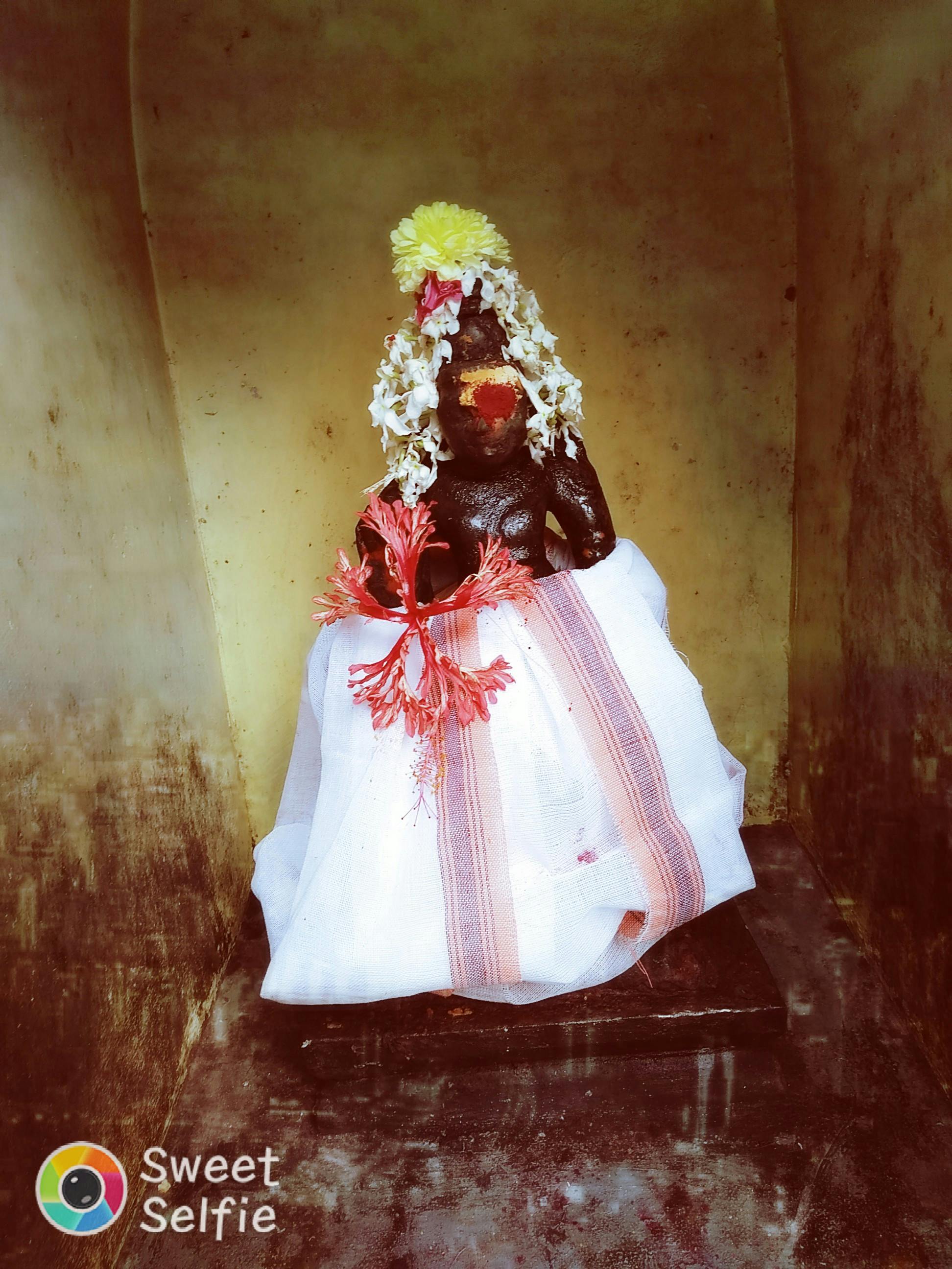 Sight Words Practice