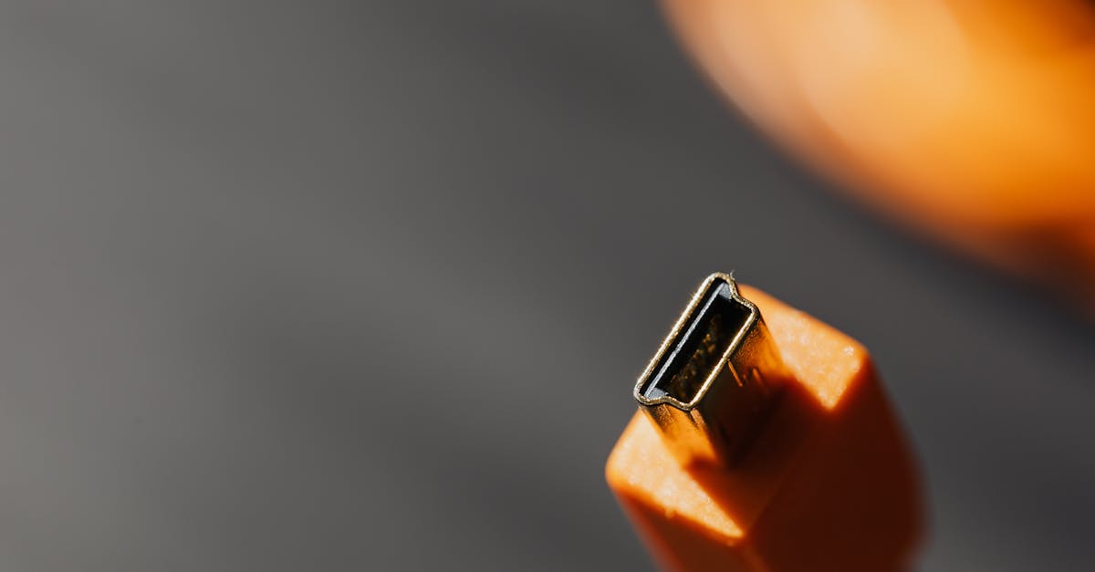 遠雄港攜手科技業大租家 全年營收挑戰新高峰