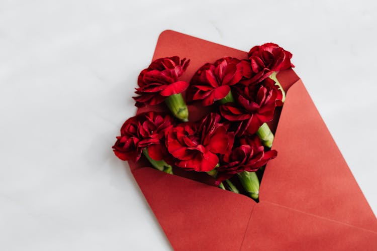 Red Flowers On Red Envelope