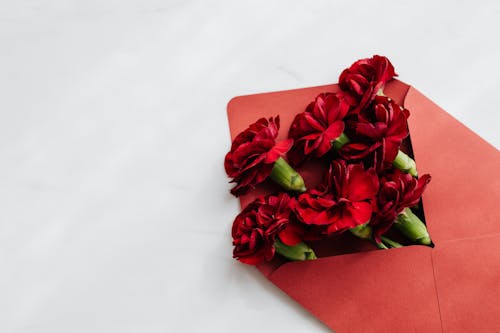 Free Red Flowers on Red Envelope Stock Photo