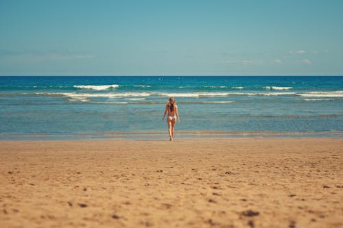 無料 海岸に立っている女性 写真素材
