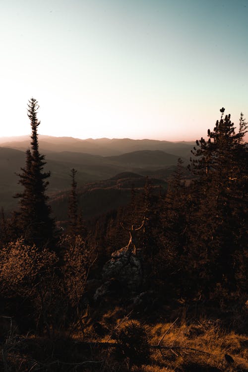 Unrecognizable traveler resting in mountainous valley and admiring sunset