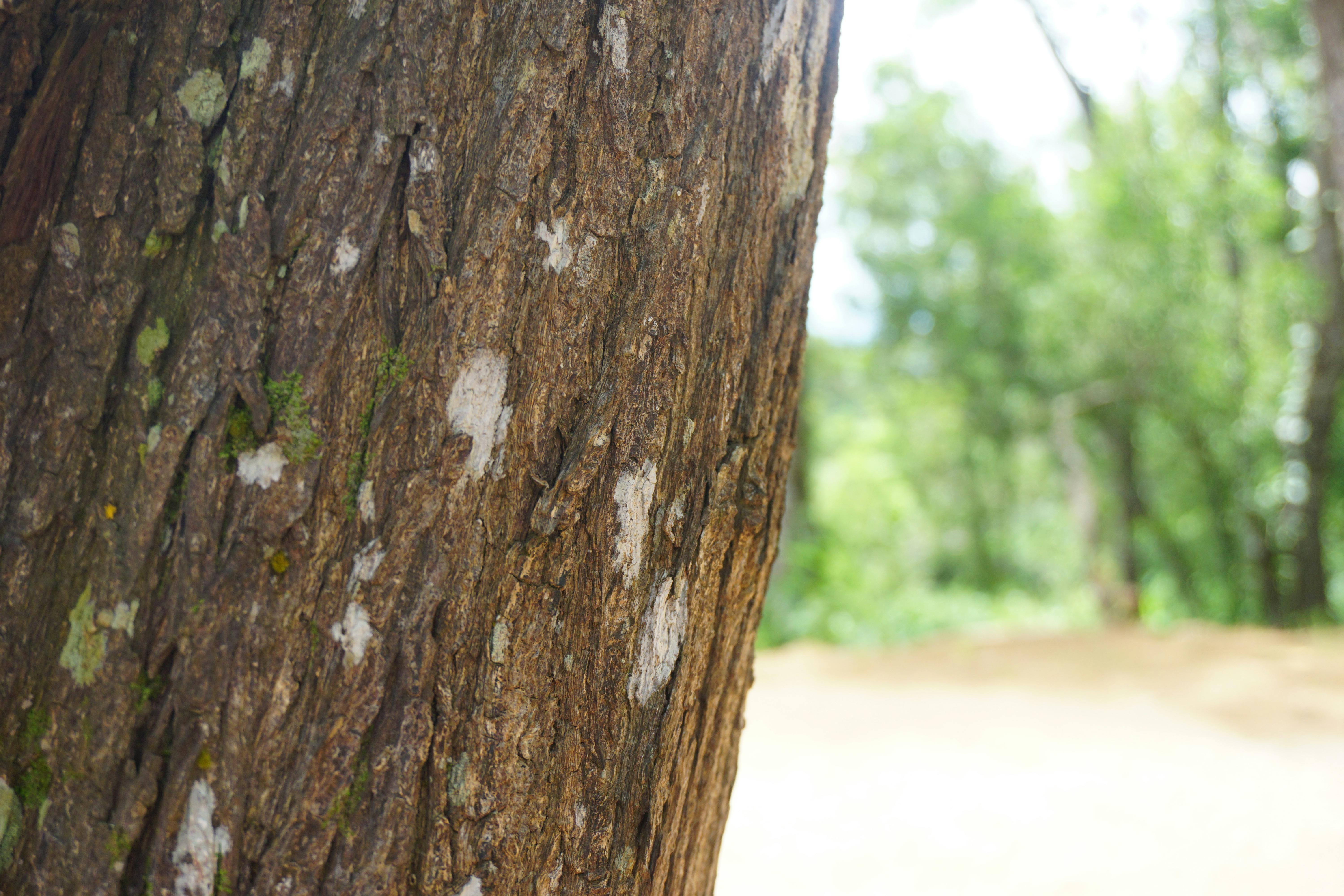 Corporate sustainability reporting and carbon accounting dashboard 2025