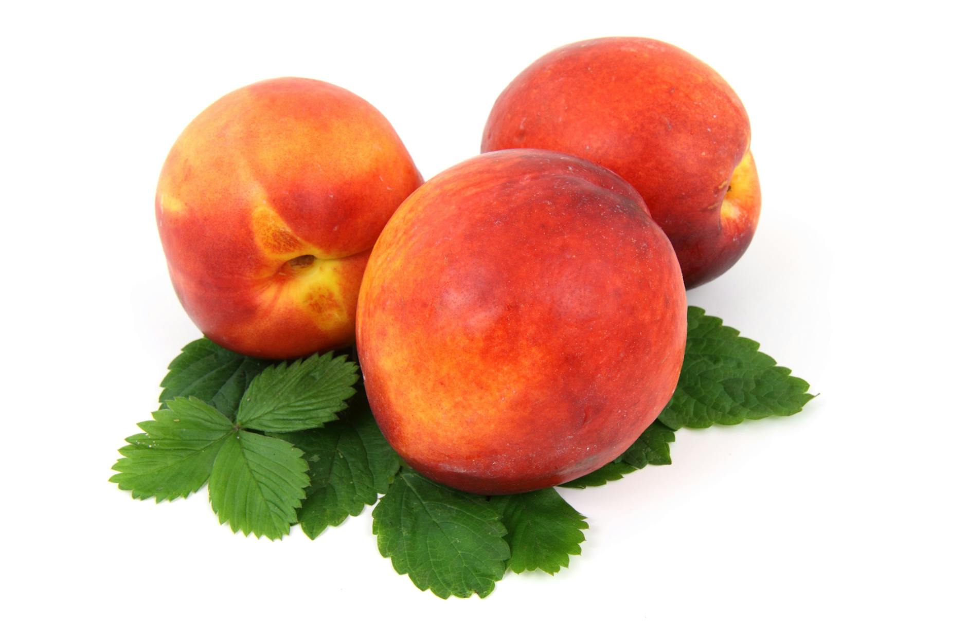 three peaches on white background