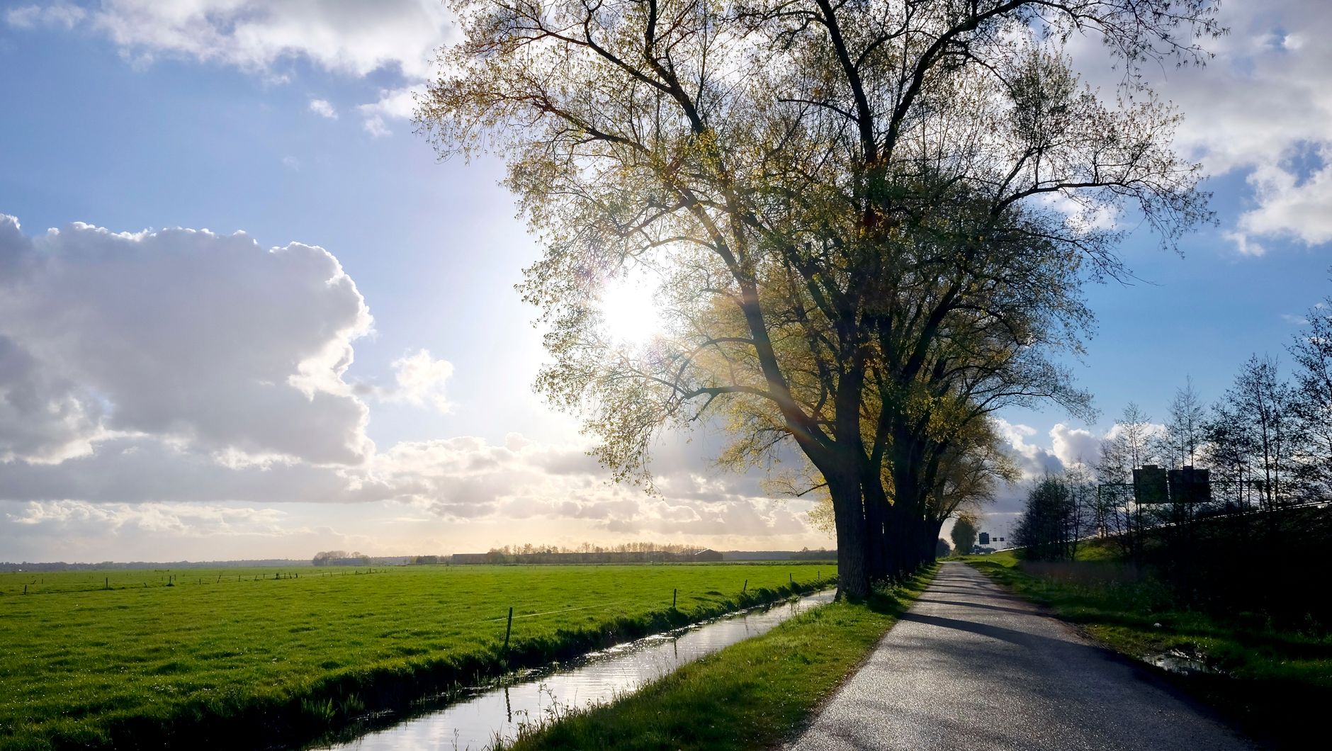 Bomen En Rivier