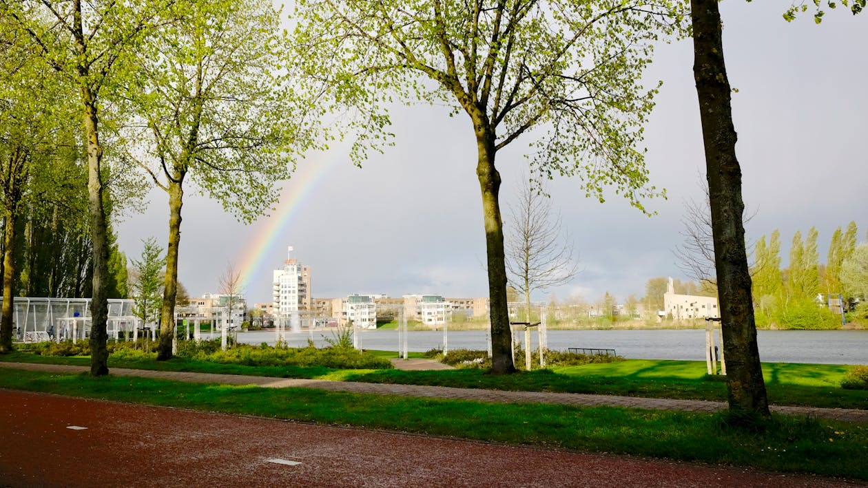 Free Rainbow over Buildings Stock Photo