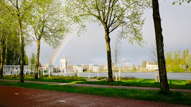Beautiful rainbow arching over a park and river in Amersfoort, Netherlands during the day.