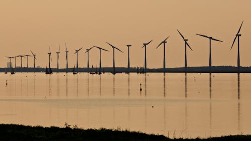 Person Showing Windmills