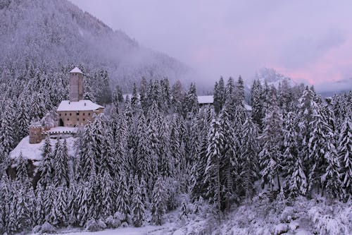 View of a Castle in Winter Scenery