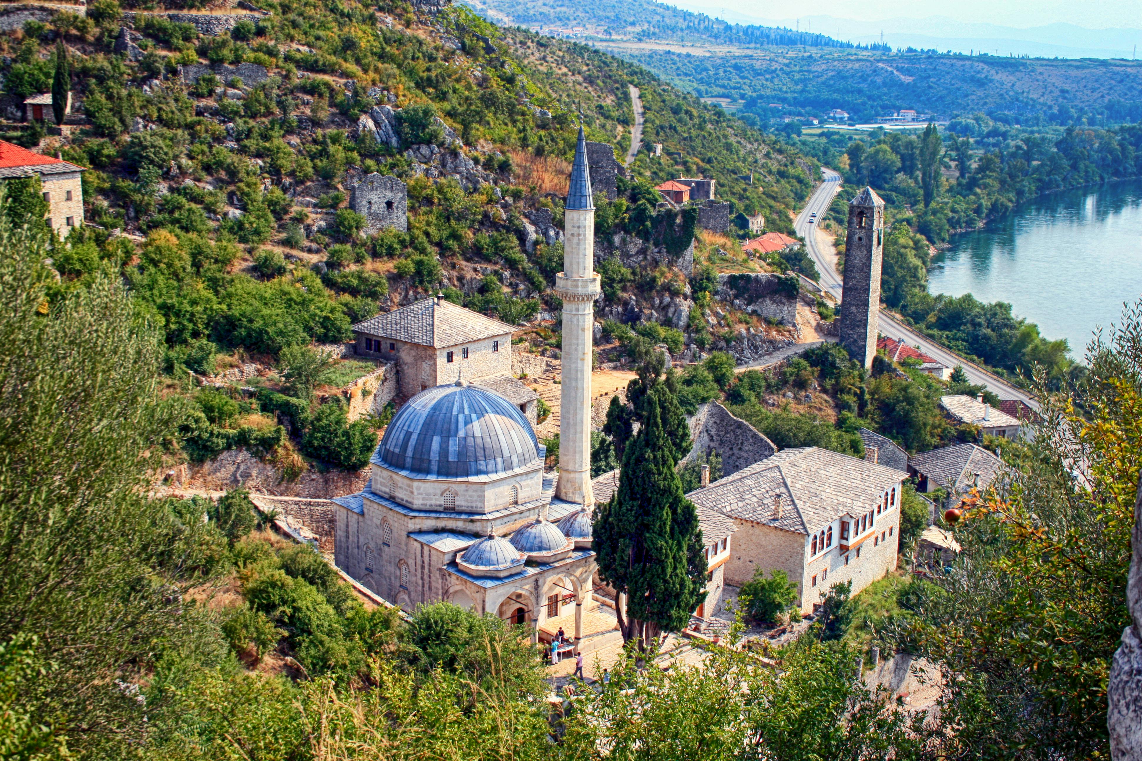 Kostenlose Bilder von Mirza · Pexels