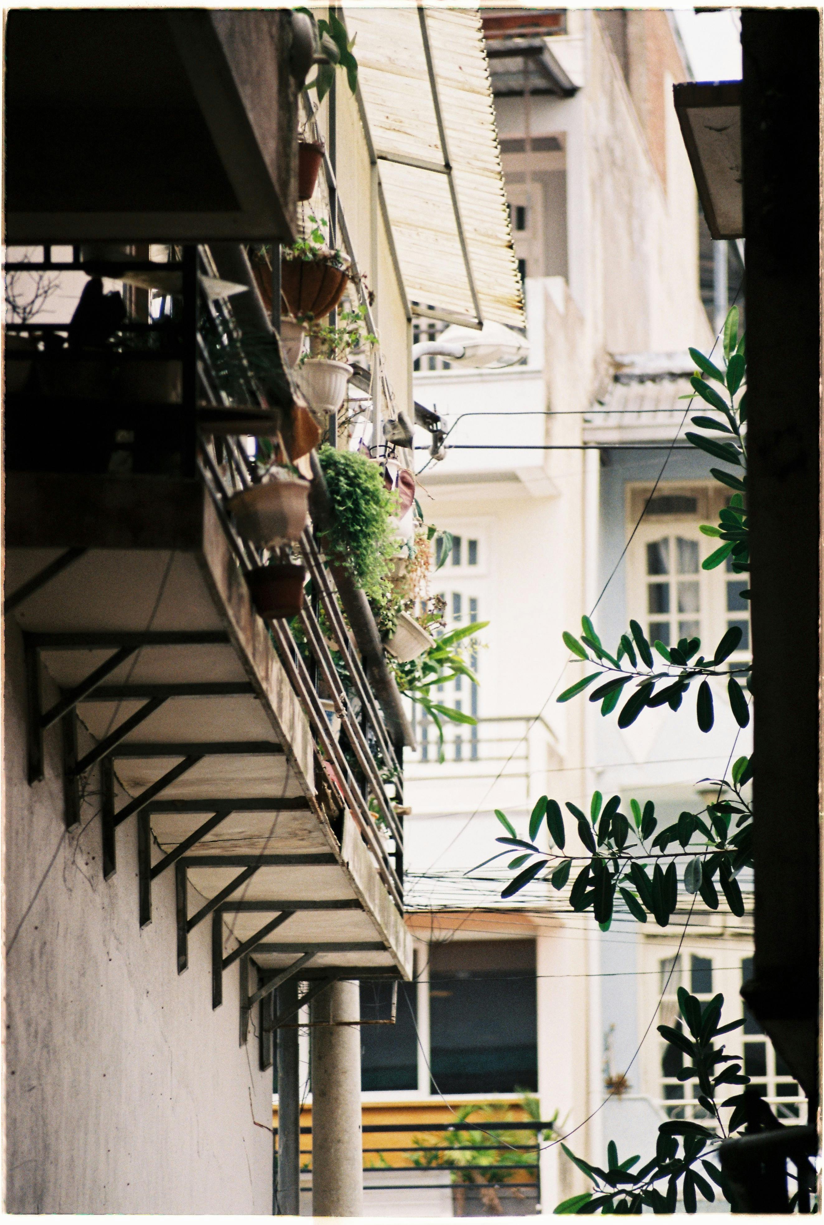 A vertical shot of an urban balcony adorned with potted plants, showcasing architectural details.