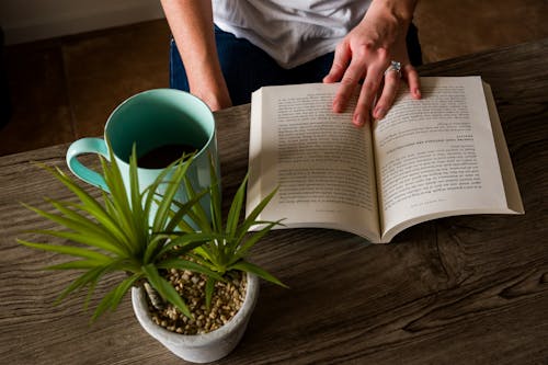 Free Person in White Shirt Reading Book Stock Photo