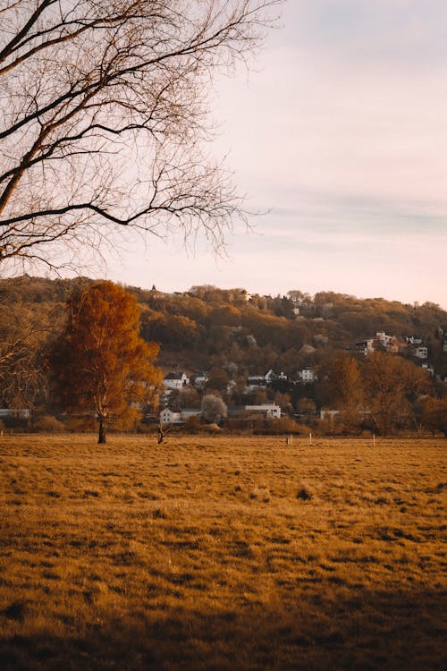 Buildings in a Valley in Fall