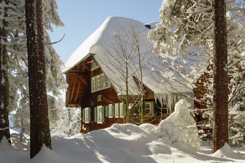 Bezpłatne Brązowy I Biały Drewniany Dom Pokryty śniegiem Zdjęcie z galerii
