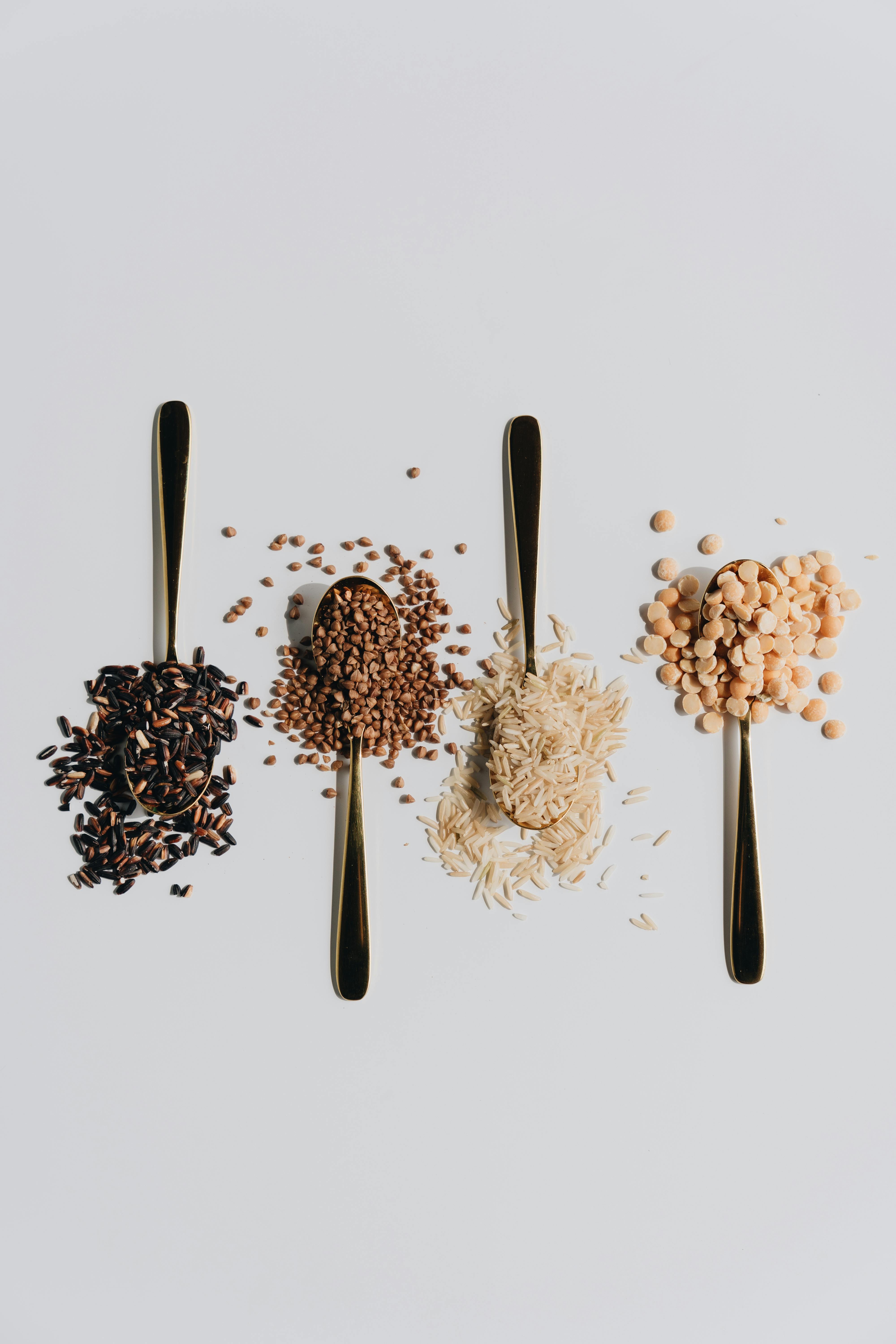 Flat lay of various grains on spoons on a white background, artistic and minimal.