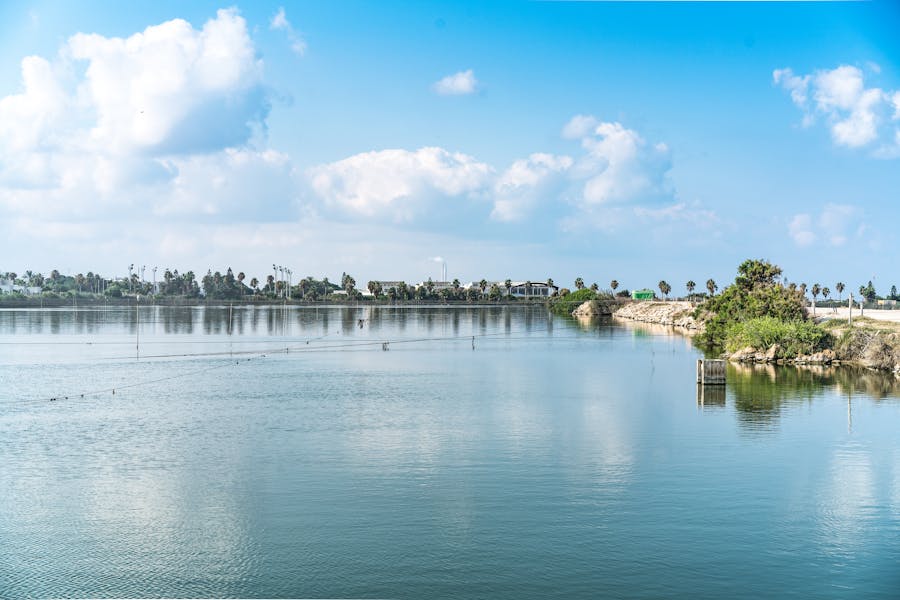 Warehouse loading and logistics scene