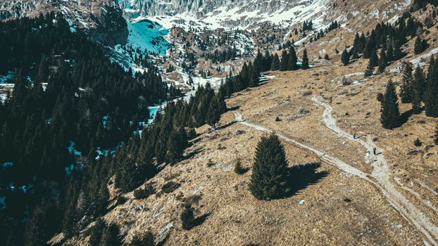 Drone view of coniferous woods on mountain terrain covered with snow at daytime