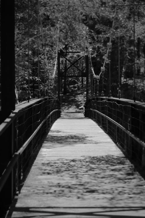 бесплатная Бесплатное стоковое фото с деревянный, монохромный, пешеходный мост Стоковое фото