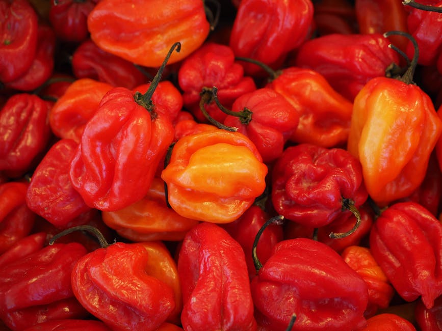 FREE Smoked Habanero