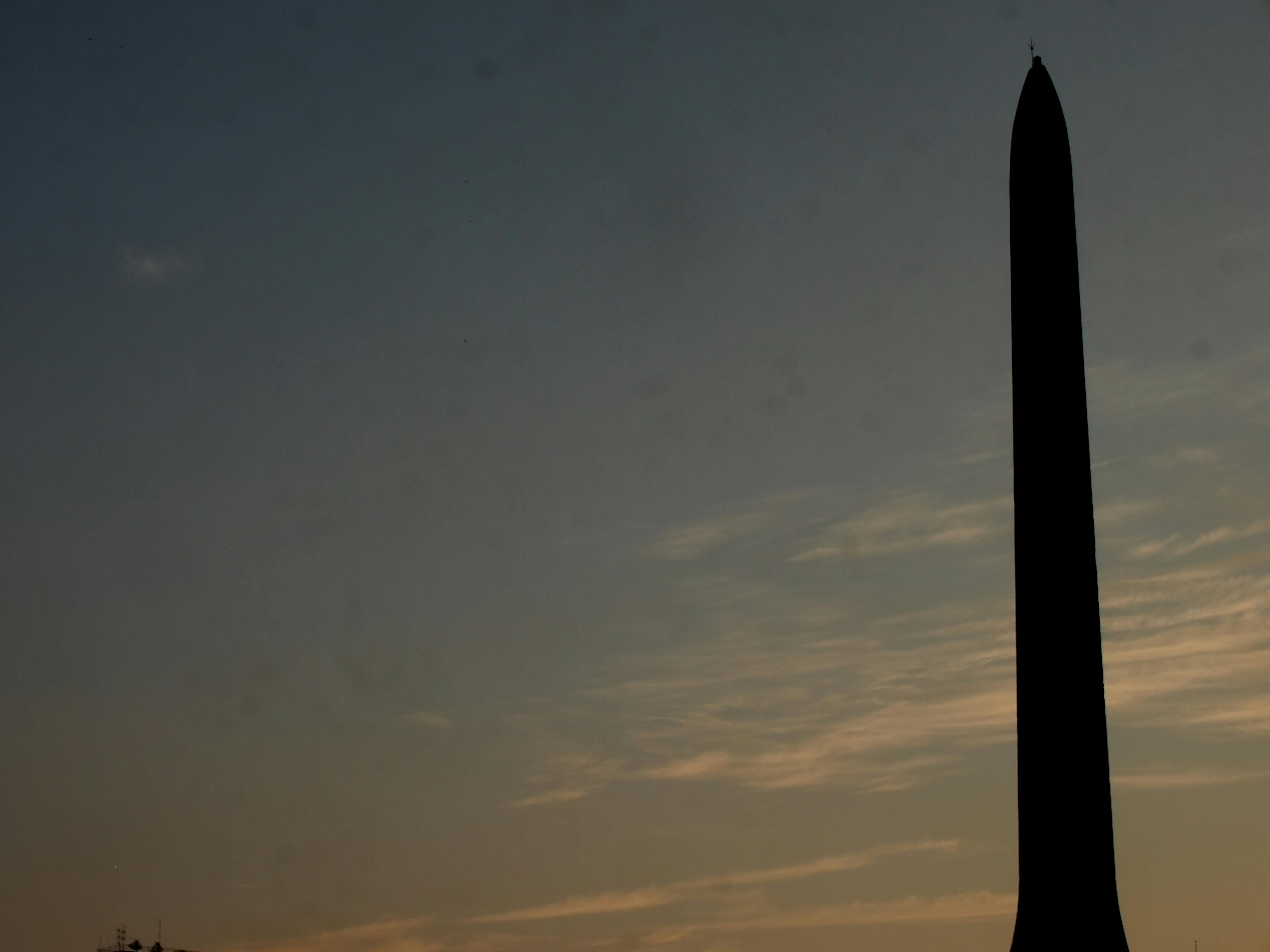 Leaf background texture