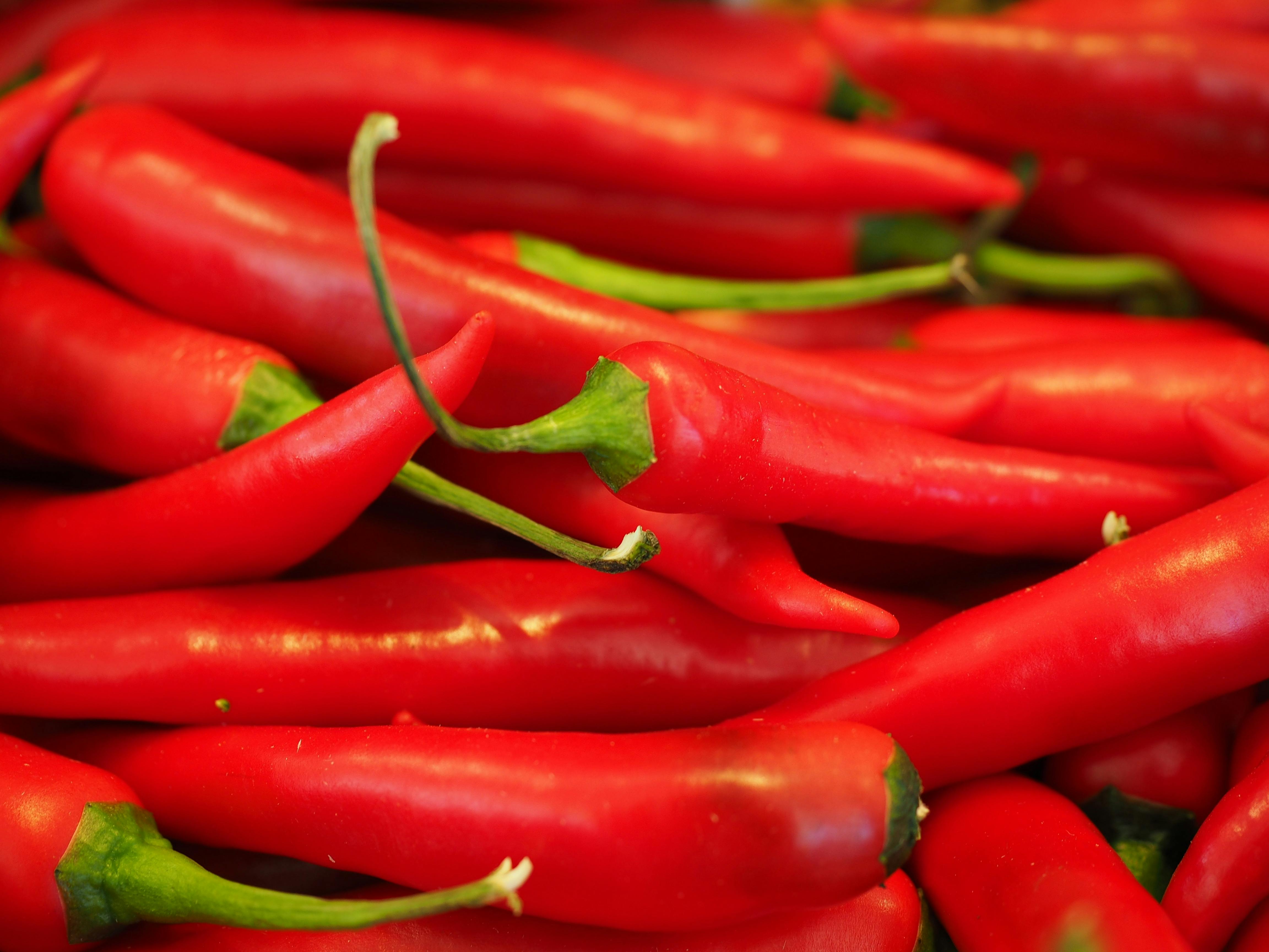 Red Chili Pepper Near Green Chili Pepper · Free Stock Photo