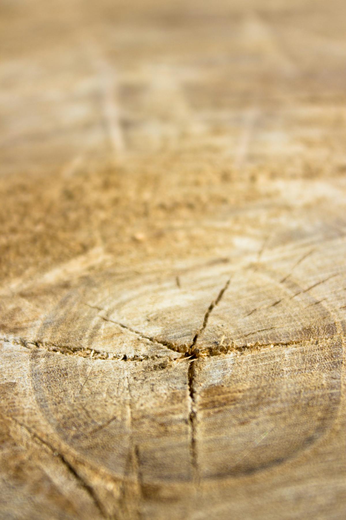 Doctor discussing test results with a patient using a tablet