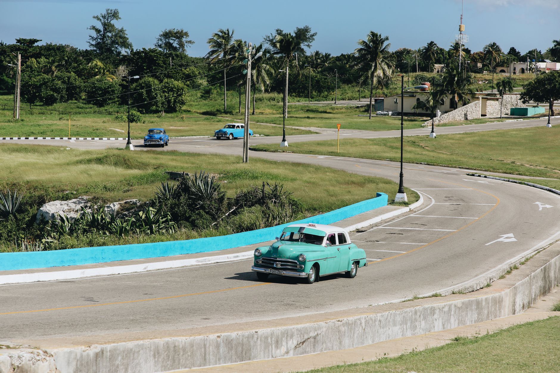 Classic cars drive along a scenic road with palm trees and green fields on a sunny day.