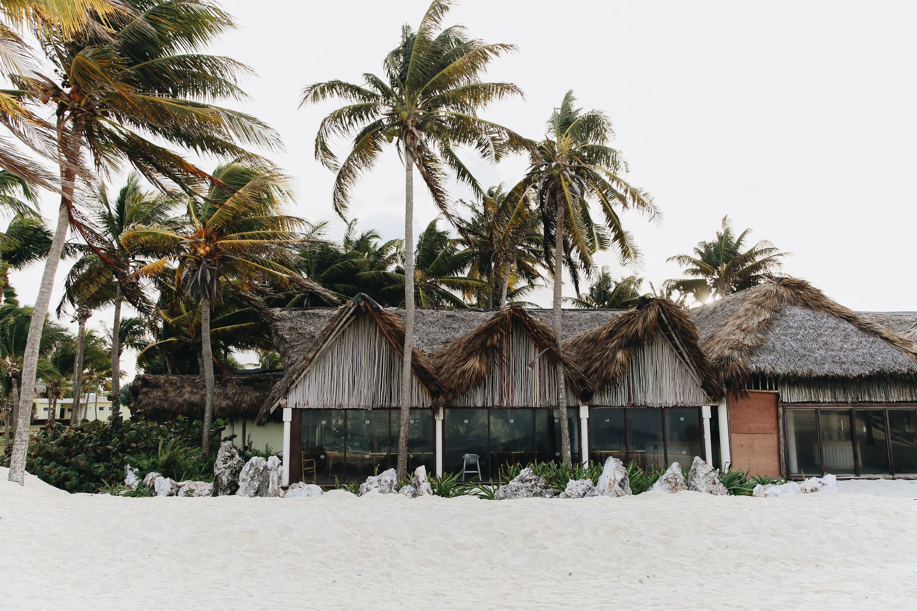 thatched beach bungalow among palms