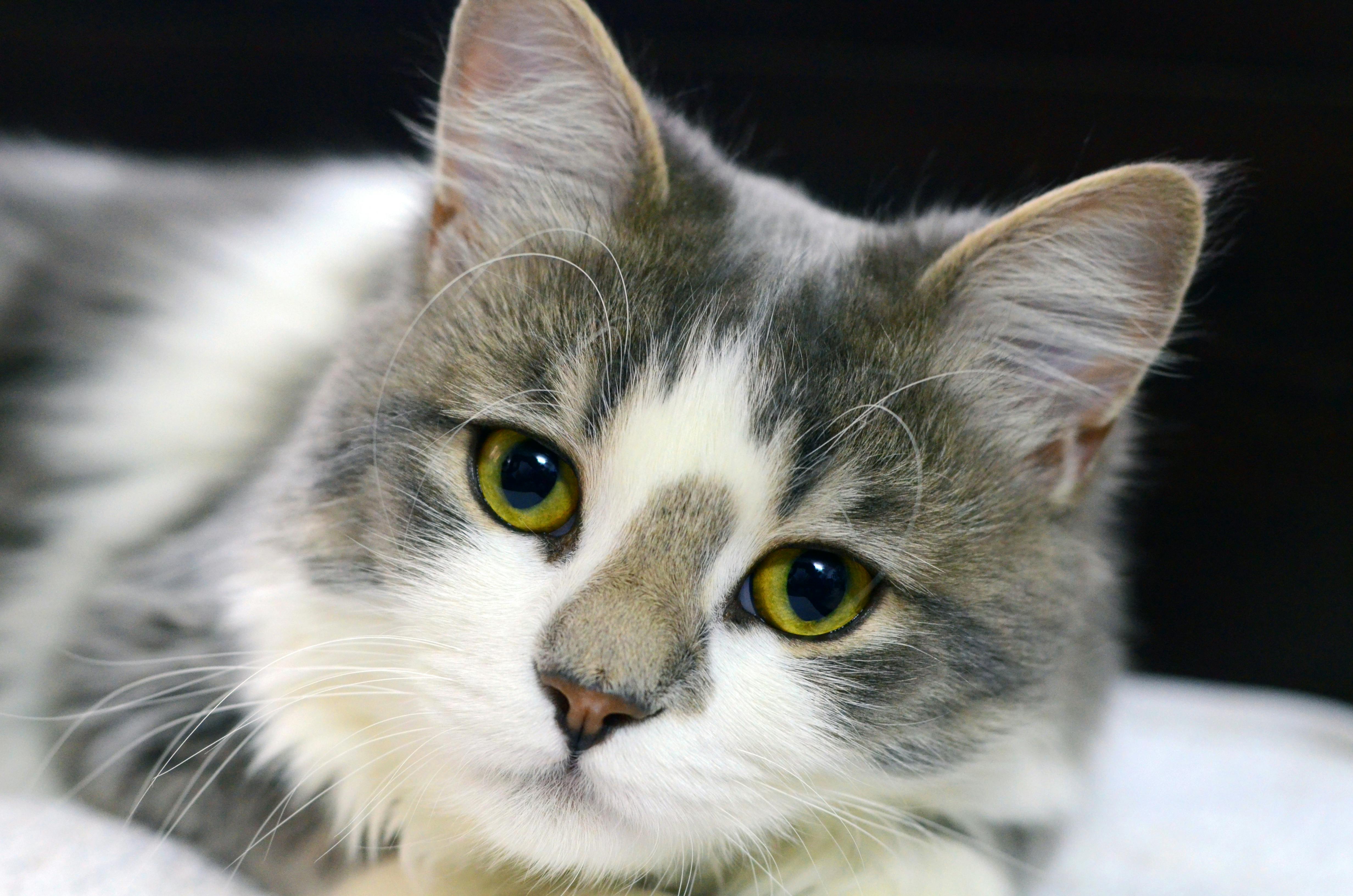 Landmark AI malpractice lawsuits 2025