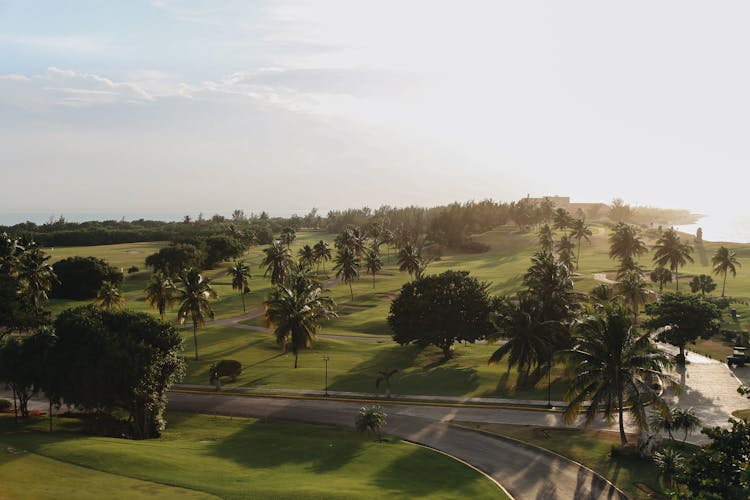 Golf Course At Sunrise