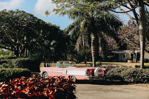 Vintage Pink Convertible