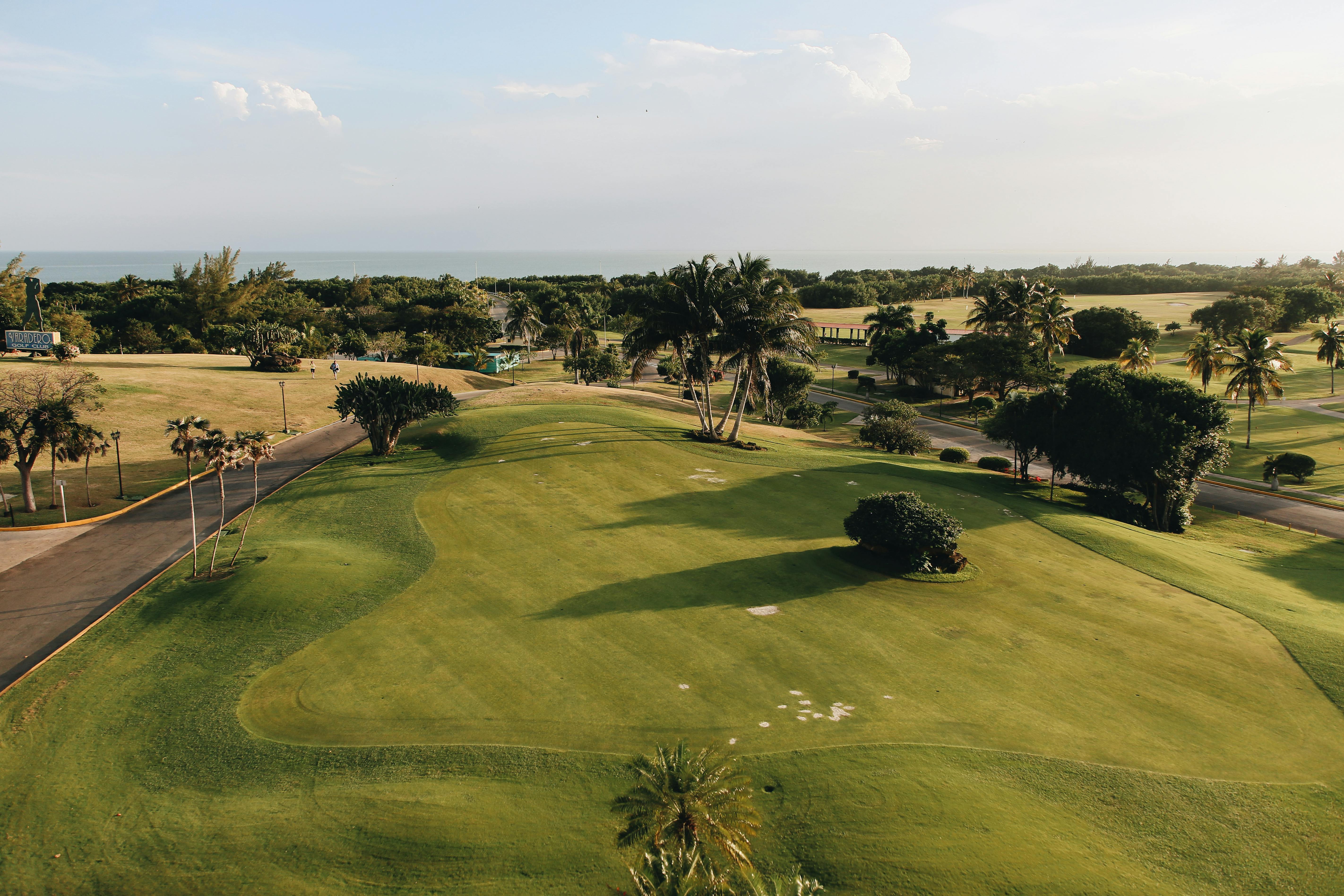 Aerial view of a lush golf course with palm trees by the seaside under a bright sky.