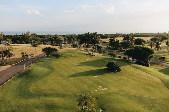 Heathland Championship course fairway among pines