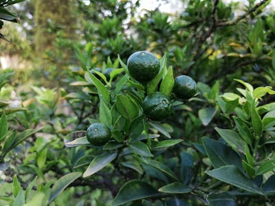 Fertility hormone test results with explanations