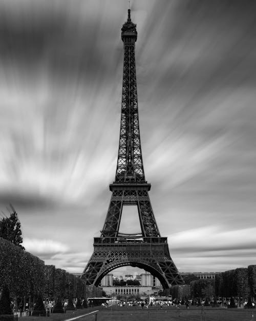 Black and white of tall Eiffel Tower next to park surrounded by square trees under grey sky