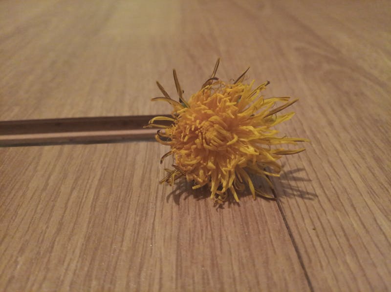 Employer fertility benefits package information