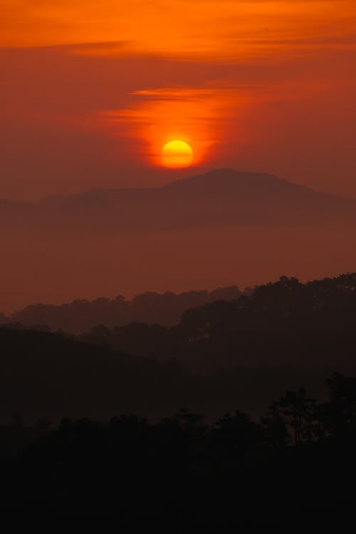 Silhouette of Trees and a Mountain during Sunset