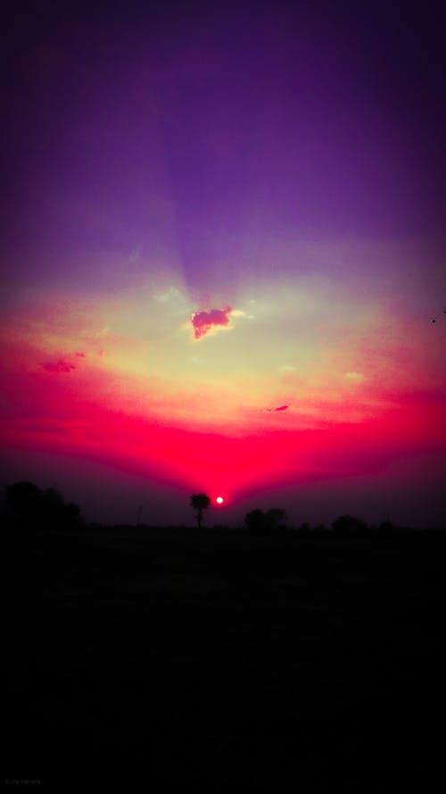 Foto profissional grátis de céu bonito, céu do sol, céu é rosa