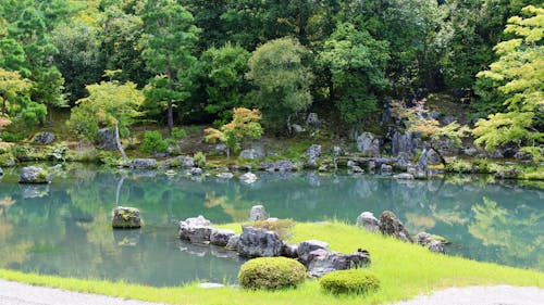 Kostenloses Stock Foto zu japon, jardin japonais, parc