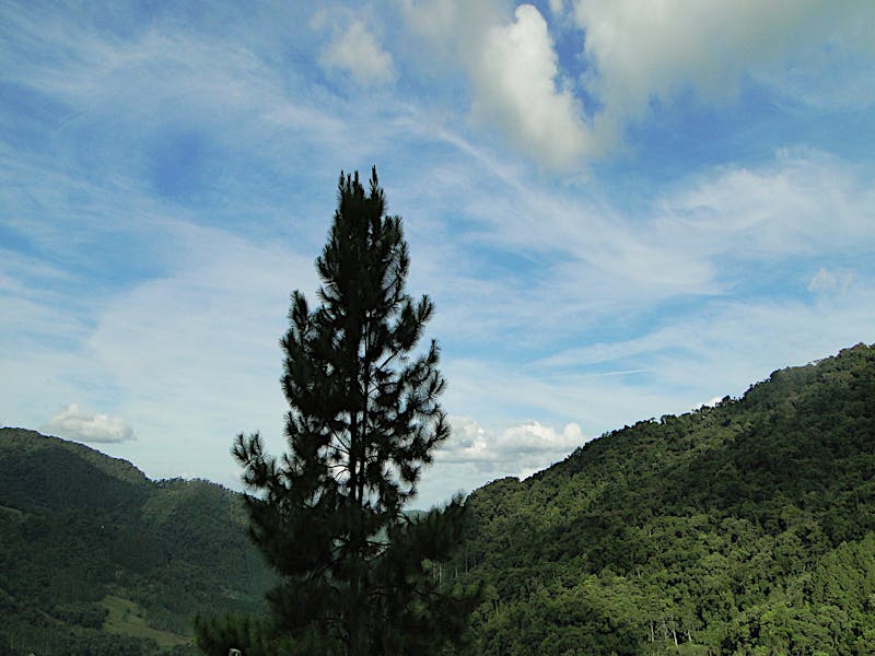 Küchenmaschine Watt: Wie viel Leistung brauchst du wirklich?