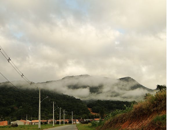 Oatmeal Raisin Delights