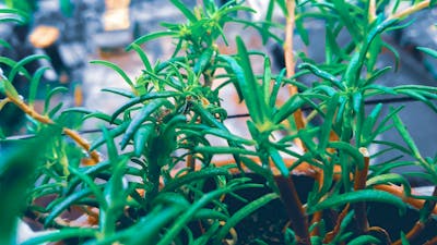 KitchenAid utensil set