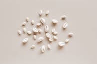 Top view composition of shells assorted sizes arranged randomly on beige surface