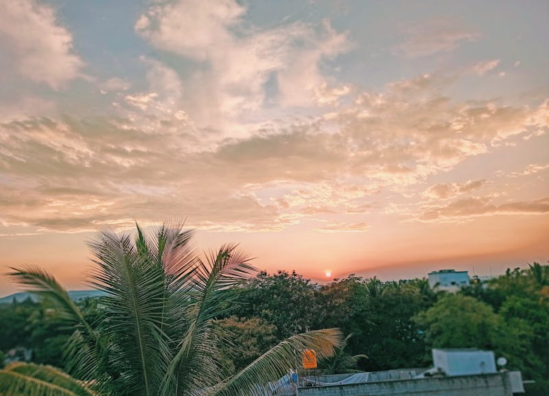 جهاز صنع الساندويش والفطائر