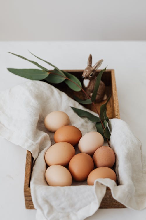Gratis lagerfoto af æg, årstidsbestemt, blade