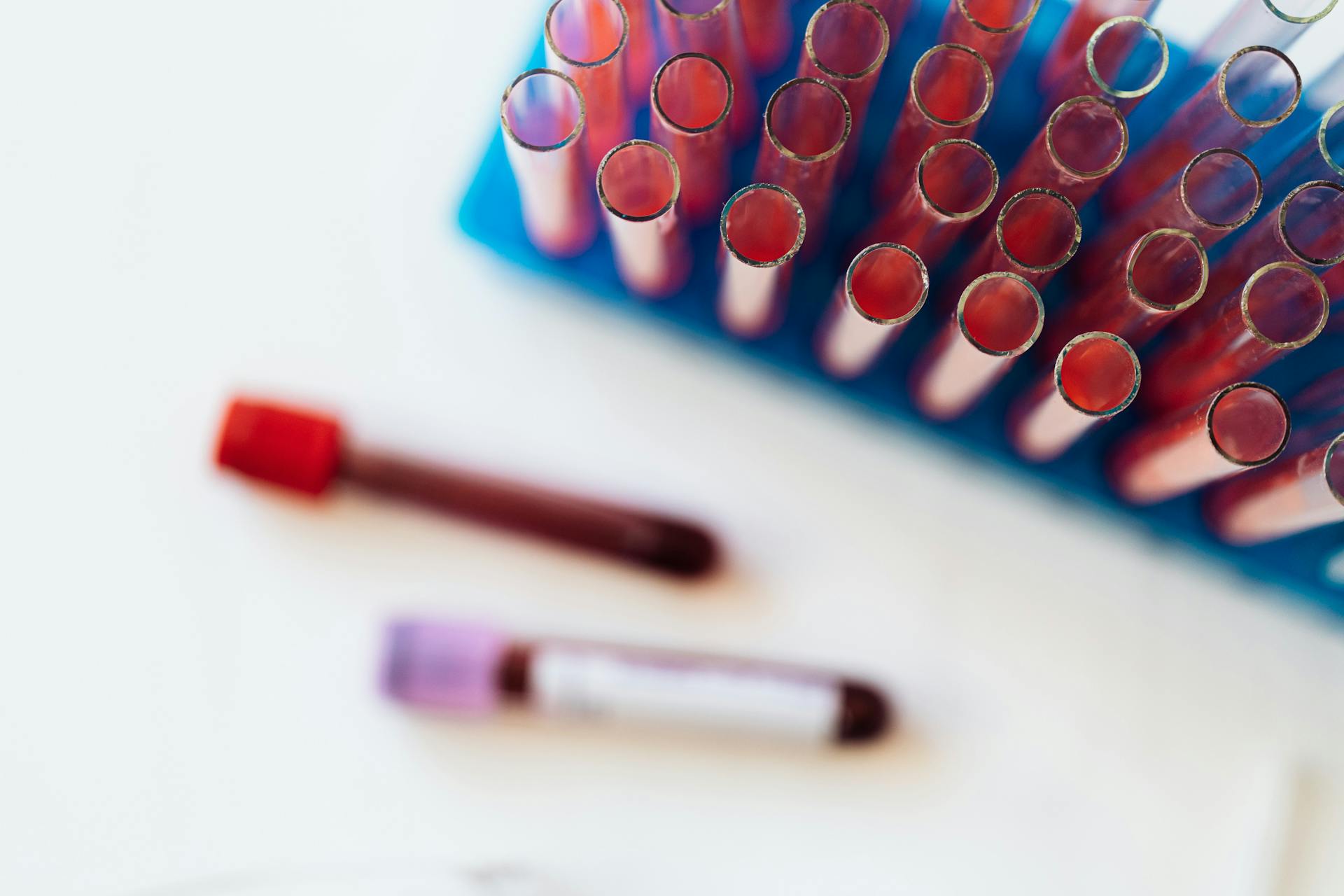 Top view of glass covered tubes arranged on table near plastic stand with tubes placed on row in modern laboratory