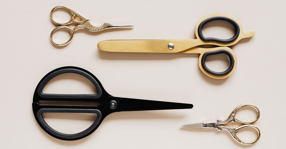 Scissors Sizes Different sizes and forms of scissors · Free Stock Photo
